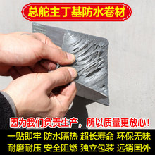 自由式滑雪在哪